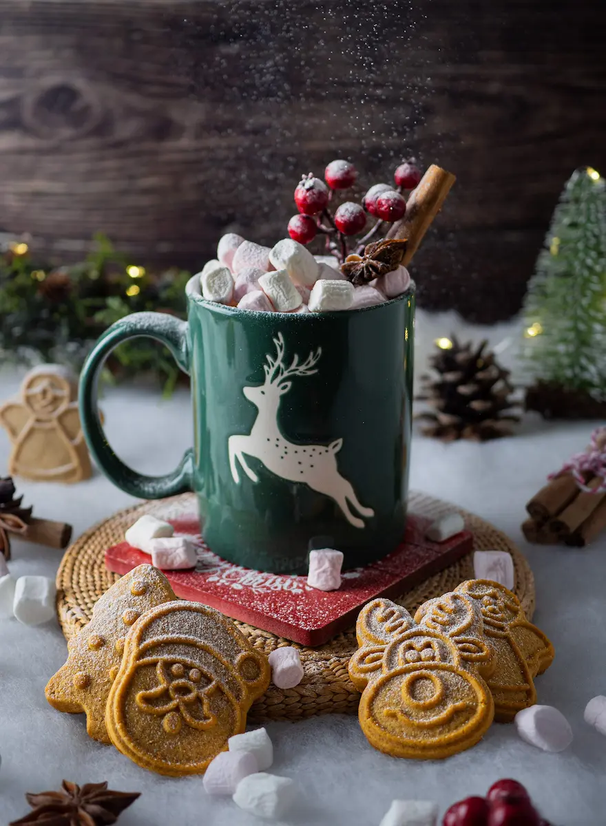 Cozy hot chocolate photography with marshmallows and gingerbread