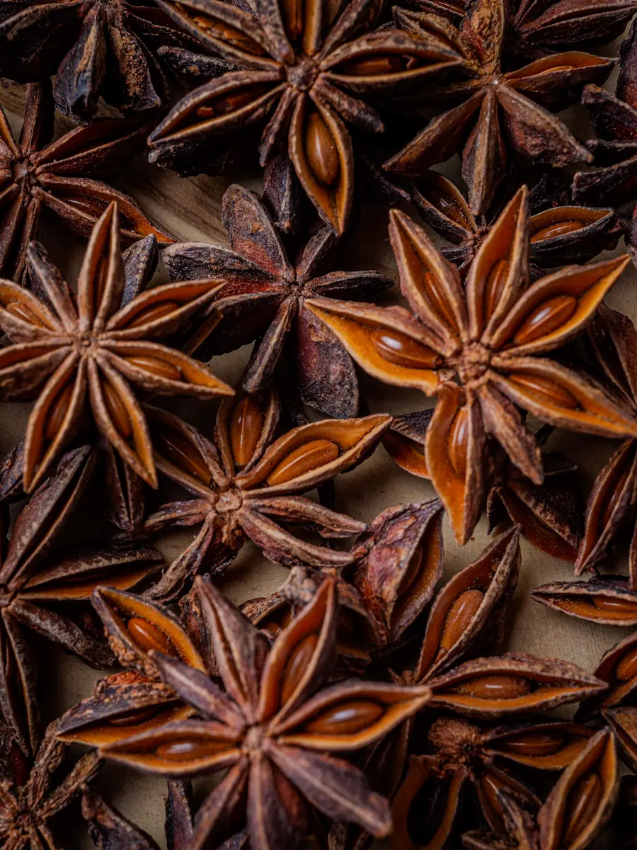 Macro shot of dried star anise spices